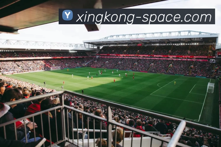 多媒体互动体验